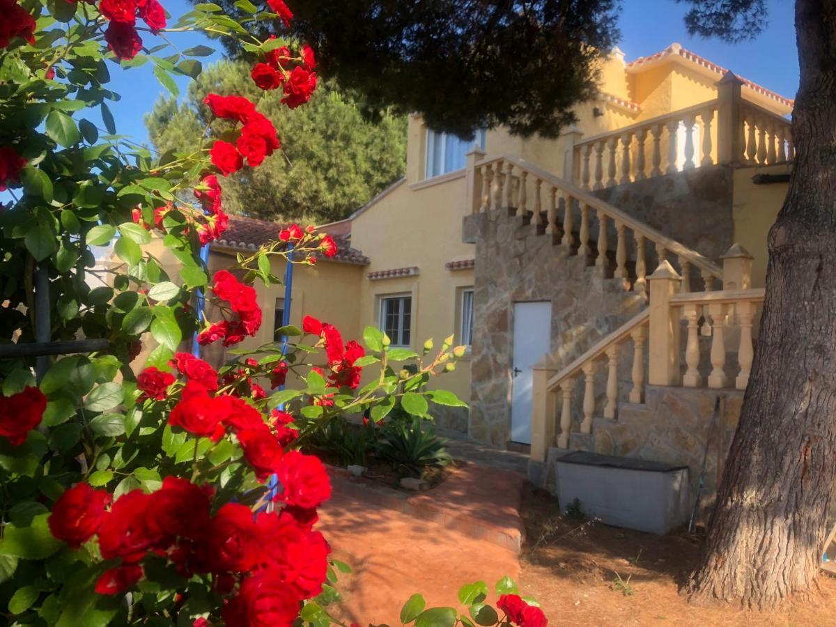 Villa Eliza 데니아 외부 사진